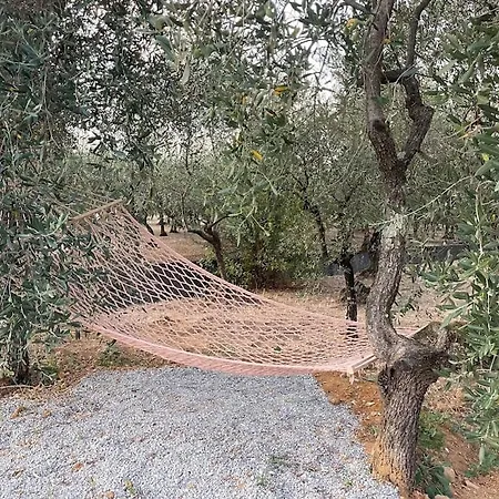 Il Fienile Di Alberto E Costanza * Lucca