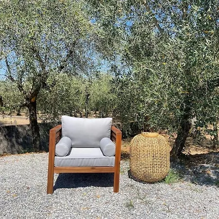 Il Fienile Di Alberto E Costanza Holiday home Lucca